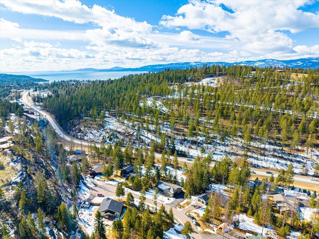 bird's eye view featuring a mountain view and a wooded view