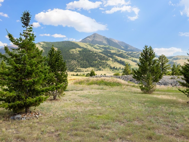 view of mountain feature