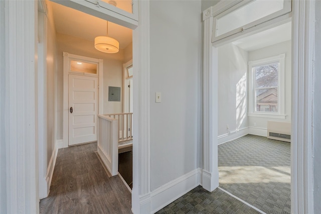 hallway featuring dark wood-style flooring, electric panel, dark carpet, and baseboards