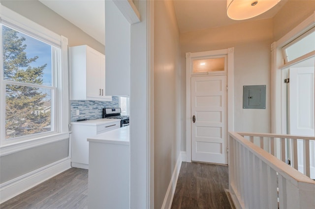 corridor featuring a wealth of natural light, dark wood-type flooring, and electric panel