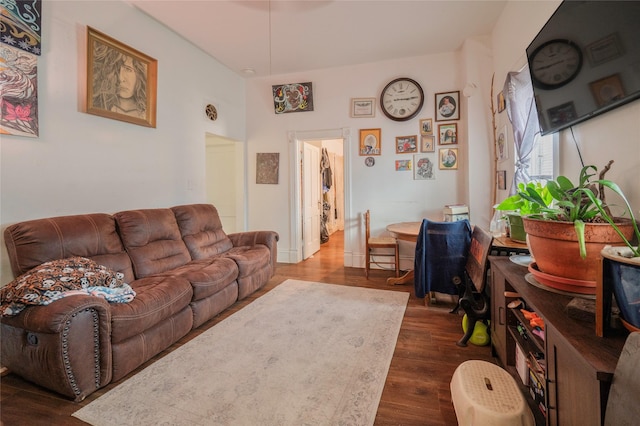 living area with dark wood-type flooring