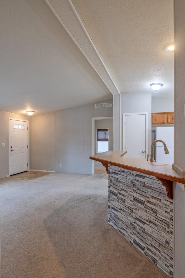 interior space featuring visible vents, a sink, light carpet, and a textured ceiling