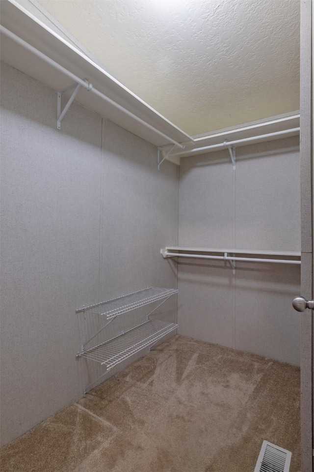 spacious closet featuring carpet floors and visible vents