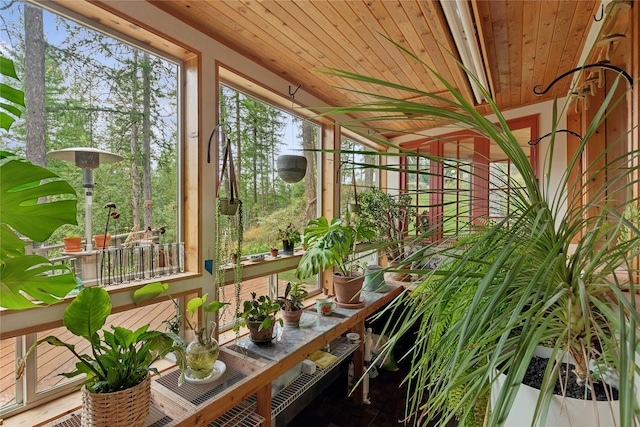 456 Peaceful Dr, Bigfork, MT 59911 - view of sunroom / solarium