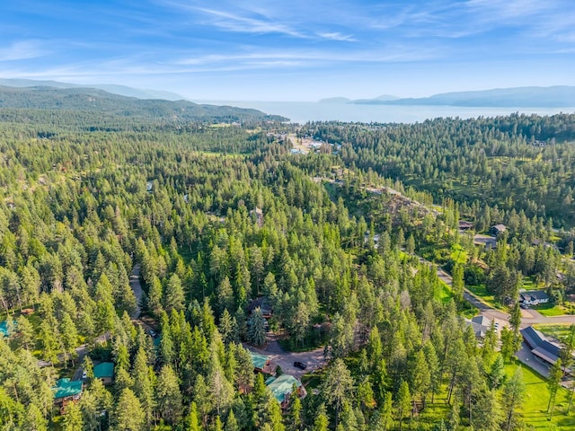 456 Peaceful Dr, Bigfork, MT 59911 - view of property location featuring a heavily wooded area and a mountainous background