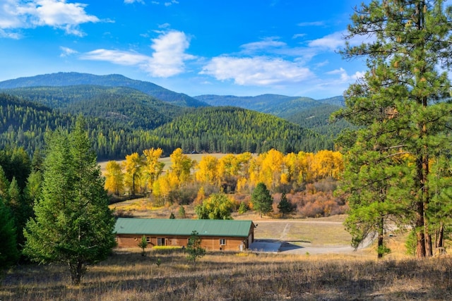 view of mountain feature with a forest view