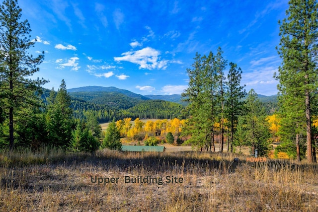 mountain view with a wooded view