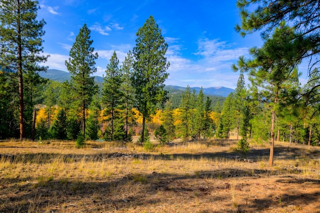 view of nature with a forest view and a mountain view