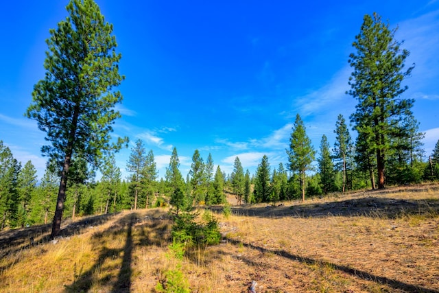 view of landscape