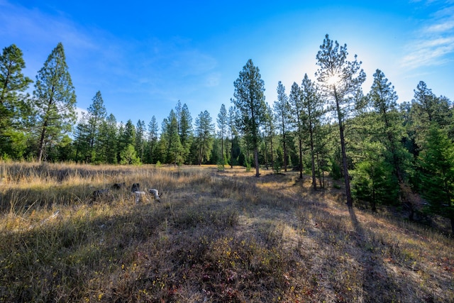 view of landscape featuring a wooded view