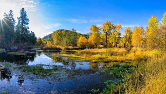 property view of water featuring a mountain view and a view of trees