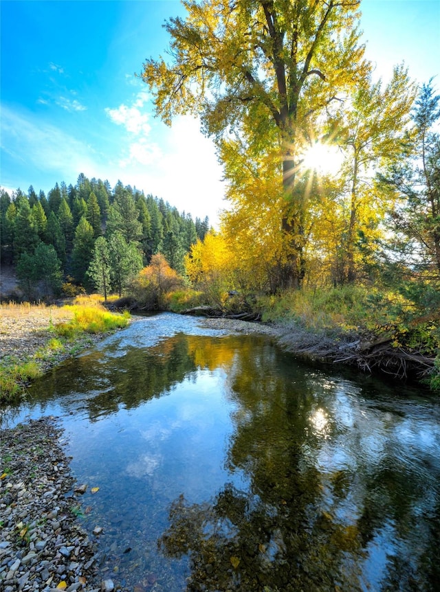 property view of water with a wooded view