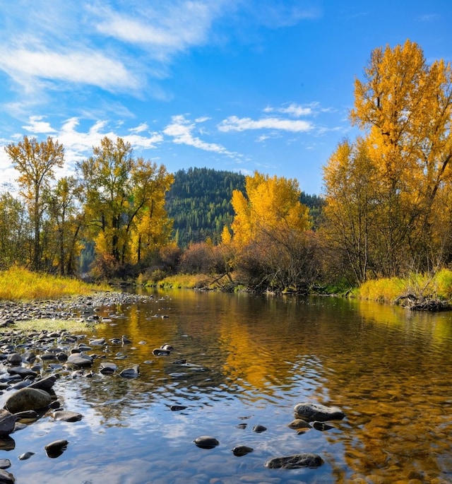 water view with a wooded view