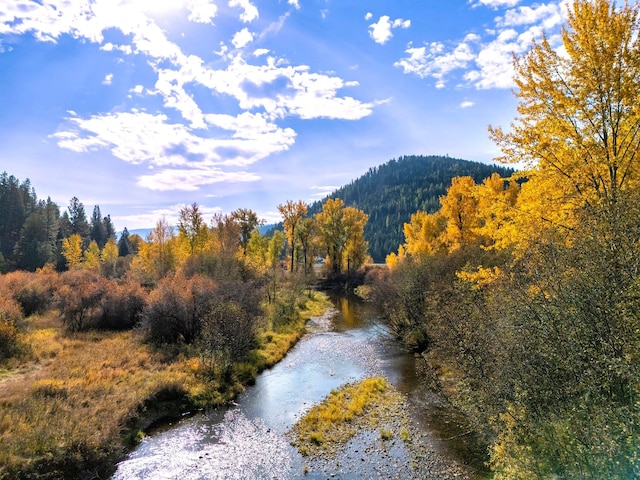 view of mountain feature with a view of trees