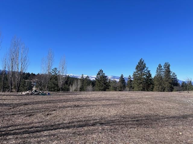 116 Happy Holw, Eureka, MT 59917 - view of yard