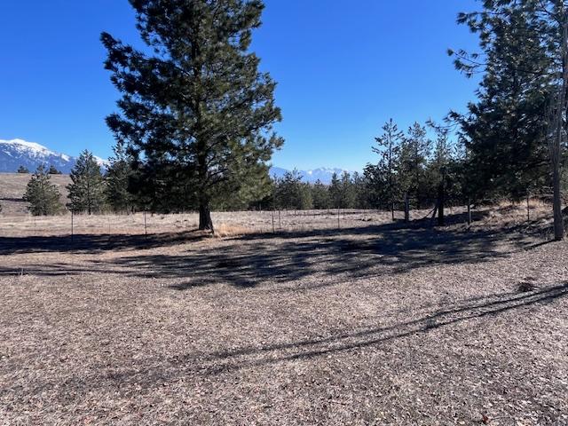 116 Happy Holw, Eureka, MT 59917 - view of street featuring a view of rural / pastoral area and a mountain view