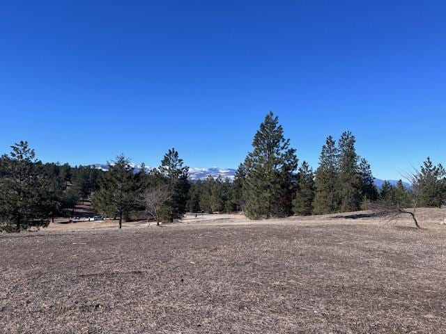 116 Happy Holw, Eureka, MT 59917 - view of yard