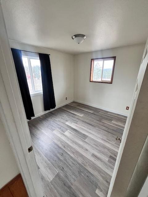 116 Happy Holw, Eureka, MT 59917 - unfurnished bedroom featuring multiple windows and wood finished floors