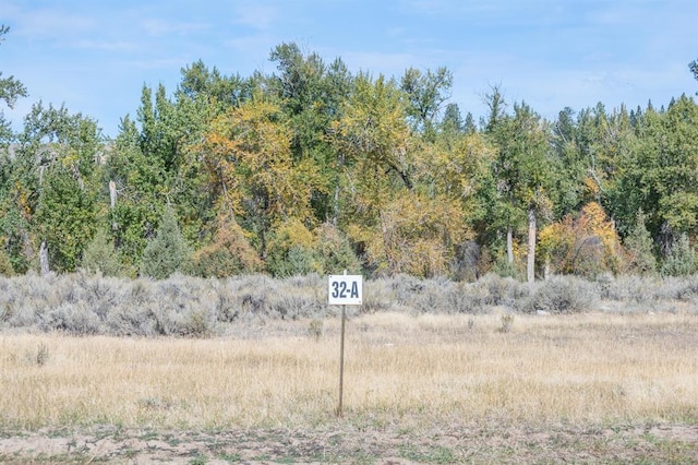 LOT32-A Drovers Trl, Stevensville, MT 59870