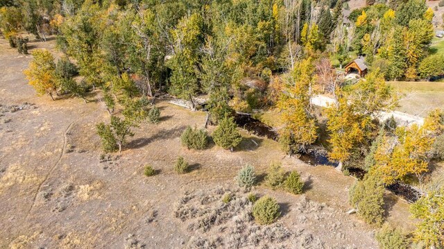 LOT32-A Drovers Trl, Stevensville, MT 59870