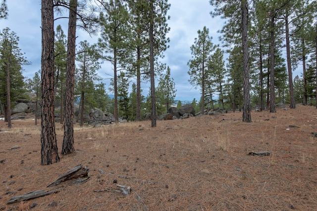 TBD Leaning Tree Ln, Clancy MT, 59634 land for sale