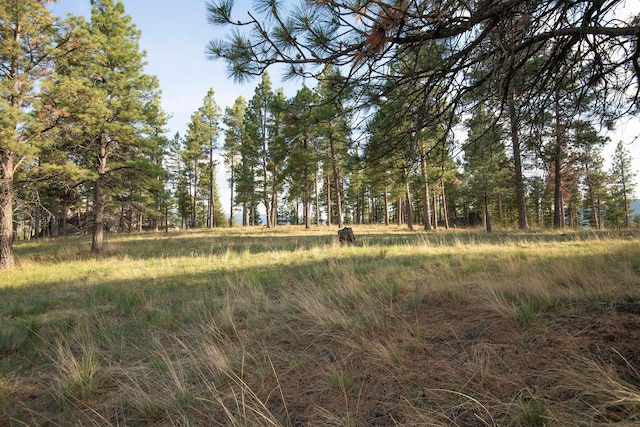 TBD Leaning Tree Ln, Clancy, MT 59634