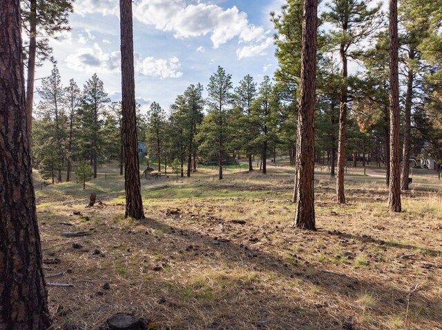 TBD Leaning Tree Ln, Clancy, MT 59634