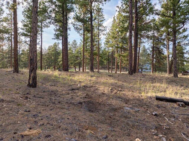 TBD Leaning Tree Ln, Clancy, MT 59634