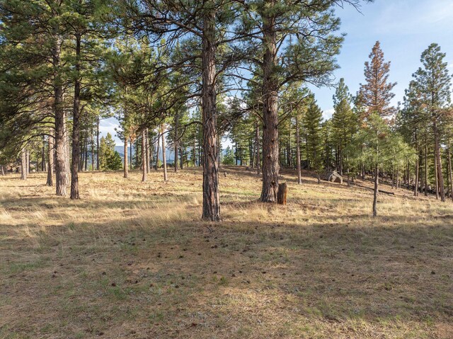 TBD Leaning Tree Ln, Clancy, MT 59634