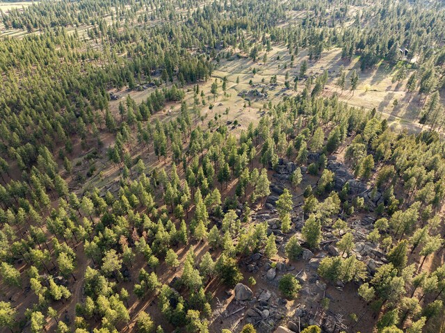 TBD Leaning Tree Ln, Clancy, MT 59634