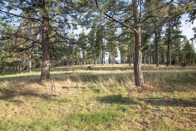 TBD Leaning Tree Ln, Clancy, MT 59634