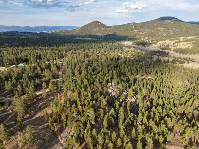 TBD Leaning Tree Ln, Clancy, MT 59634