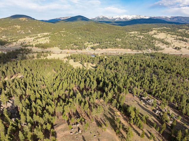 TBD Leaning Tree Ln, Clancy, MT 59634