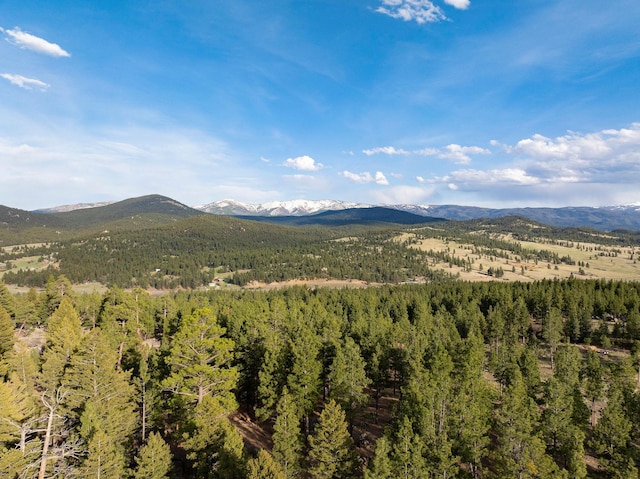 TBD Leaning Tree Ln, Clancy, MT 59634