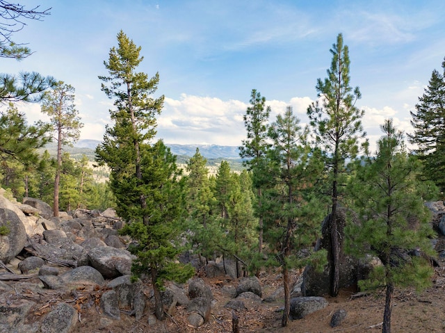 TBD Leaning Tree Ln, Clancy, MT 59634