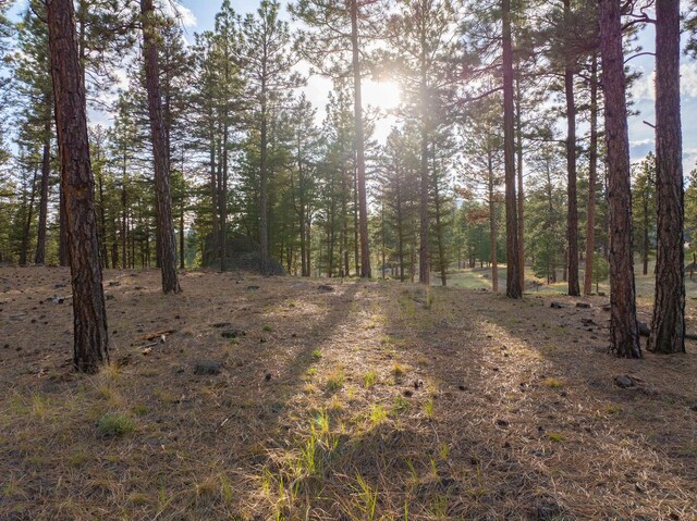 TBD Leaning Tree Ln, Clancy, MT 59634