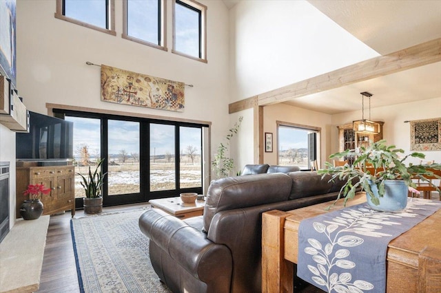 living room with dark wood finished floors