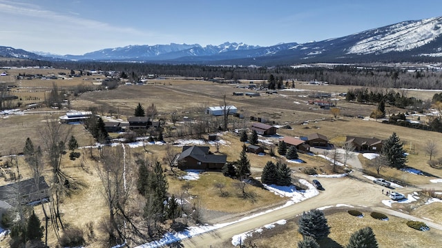 birds eye view of property featuring a mountain view