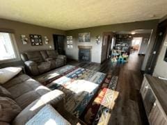 living area with a fireplace