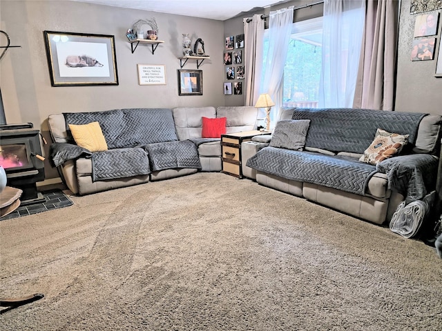 living room featuring a wood stove