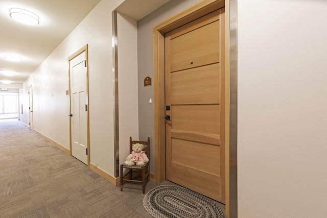 hall featuring carpet flooring, a sauna, and baseboards