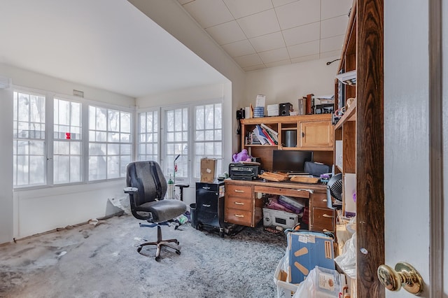 office featuring carpet floors and a drop ceiling