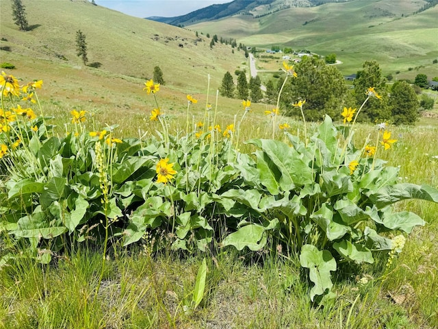 view of mountain feature with a rural view