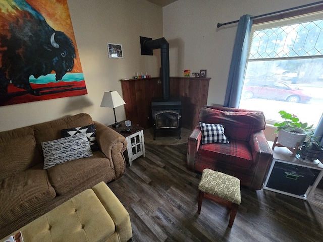 living area featuring wood finished floors and a wood stove