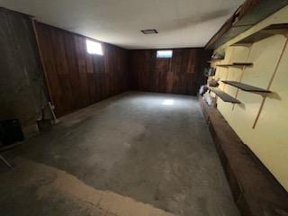 basement featuring a wealth of natural light and wood walls