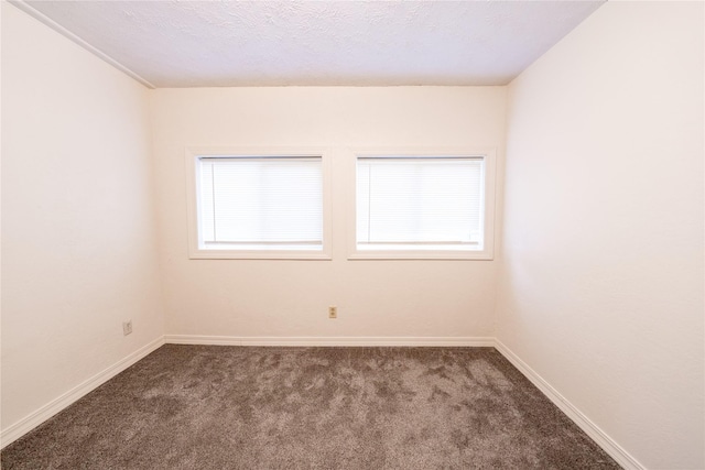 spare room with a wealth of natural light, carpet flooring, and baseboards