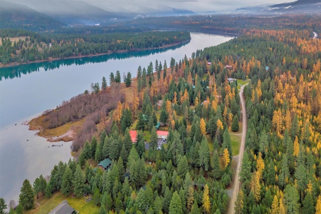 birds eye view of property with a water view and a forest view