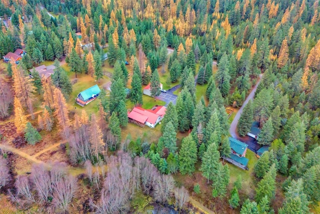 drone / aerial view with a forest view