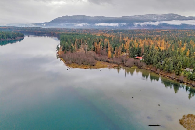 bird's eye view featuring a forest view and a water and mountain view