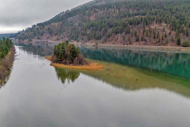 water view featuring a mountain view and a view of trees